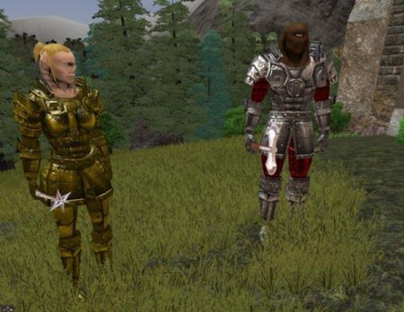 Геймплей MMORPG игры Wish